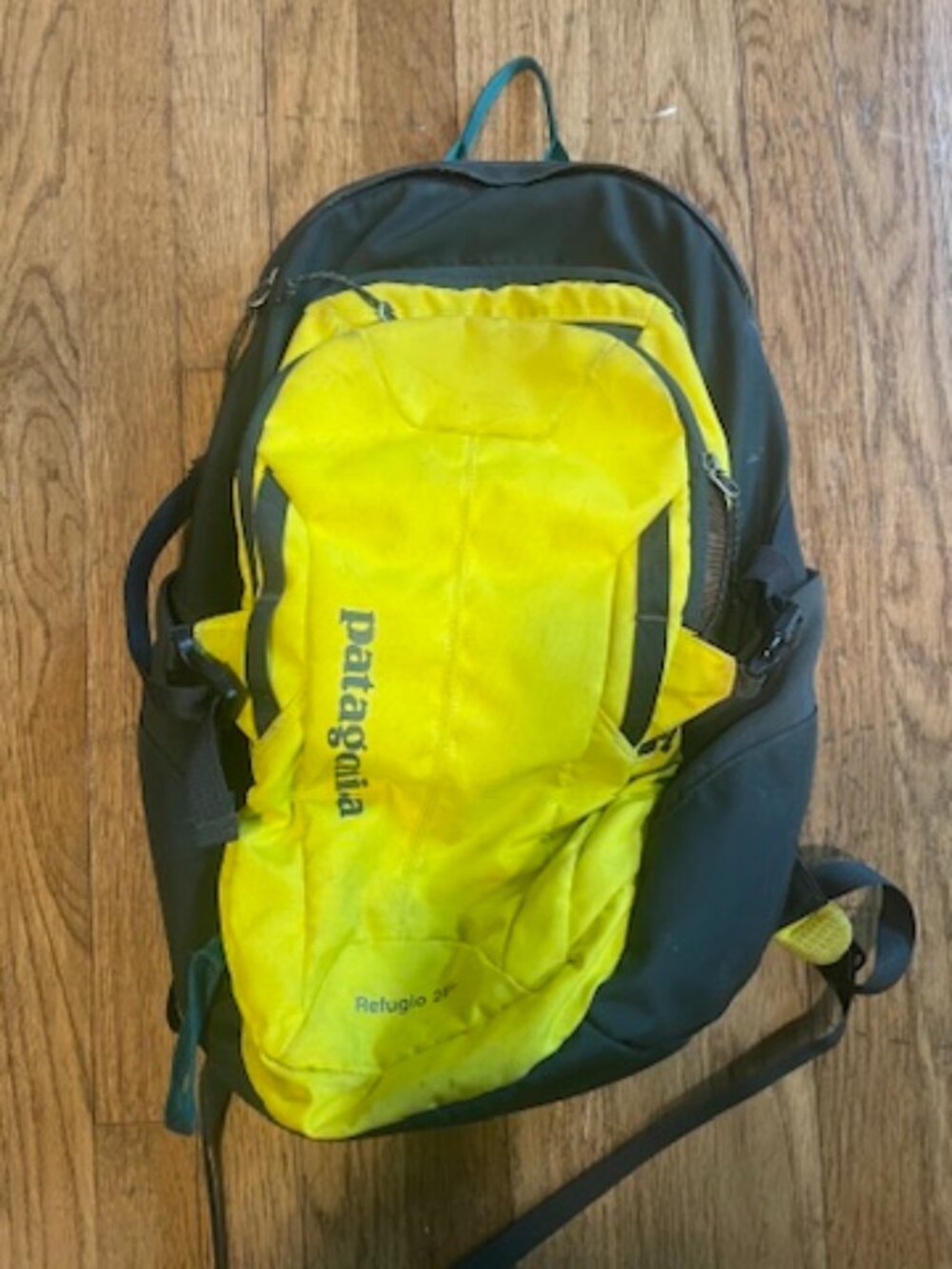 Patagonia backpack